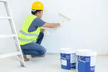 Paintwork & Wallpaper